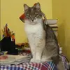 Отзыв от Зинаида Беспалова